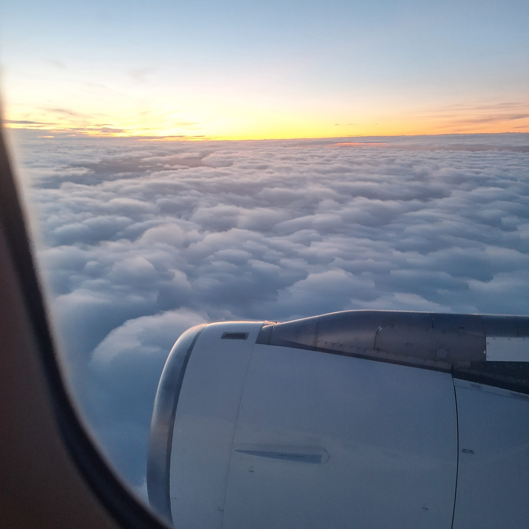 Galeriebild 3 – Nina Coppik