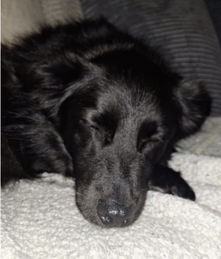 Galeriebild 4 – Nina Coppik