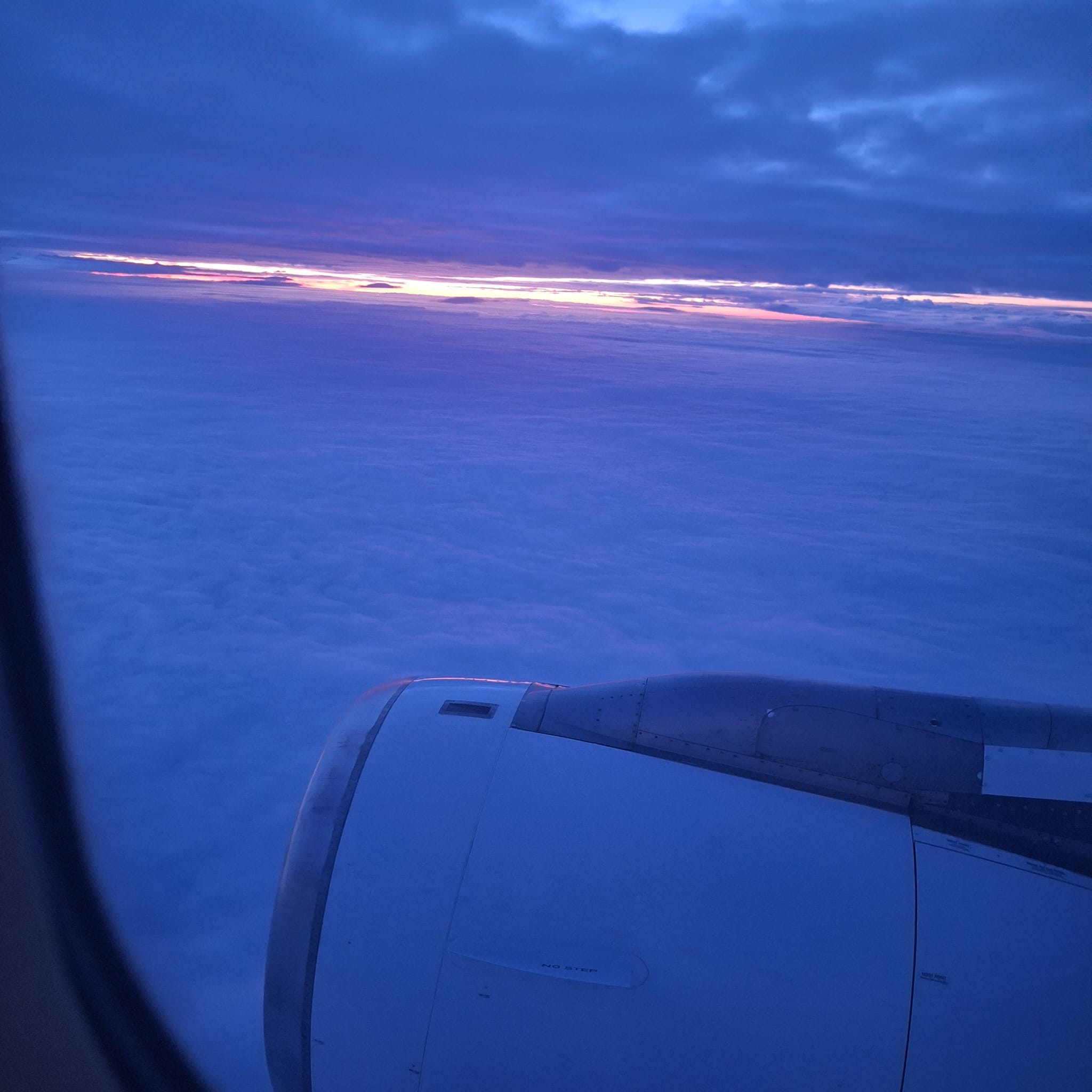 Galeriebild 5 – Nina Coppik